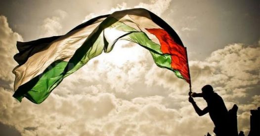 Il cavallo di Troia del "riconoscimento" e la Palestina come bussola morale